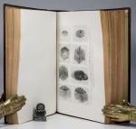 Proceedings of the Royal Irish Academy. Volume XXXVI.