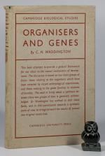 Waddington, Organisers & Genes.