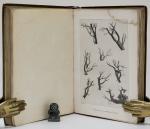 By A Graduate of Oxford (Vol.1) / Ruskin, Modern Painters.