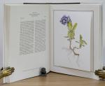 Walsh, An Irish Florilegium 1 & 2.