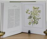 Walsh, An Irish Florilegium 1 & 2.