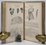 Stroud, Stroud's Digest on the Diseases of Birds.
