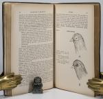 Stroud, Stroud's Digest on the Diseases of Birds.