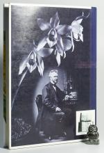 Nelson, The Brightest Jewel [Signed].
