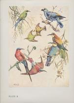 Von Michaelis, Our Birds. 8 Colour Plates. Second Series. First Printing.