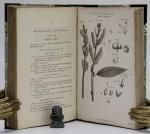 Thornton, Practical Botany.