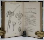 Thornton, Practical Botany.
