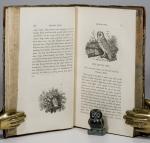 Bewick, A History of British Birds.
