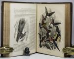Anon. Cassell's Popular Natural History. Vol.3: Birds & Vol.4: Reptiles, Fishes,