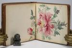 Early 20th Century Lady's Travel Autograph Book.